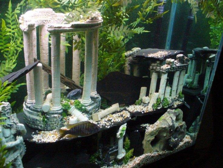 9 элементов для декораций в аквариуме