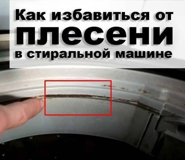 Плесень в стиральной машине: как избавиться в домашних условиях - точка j