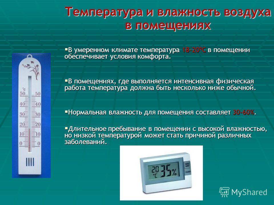 Как выбрать прибор для измерения влажности в квартире: на что обратить внимание при выборе прибора, рейтинг и обзор популярных гигрометров, их плюсы и минусы