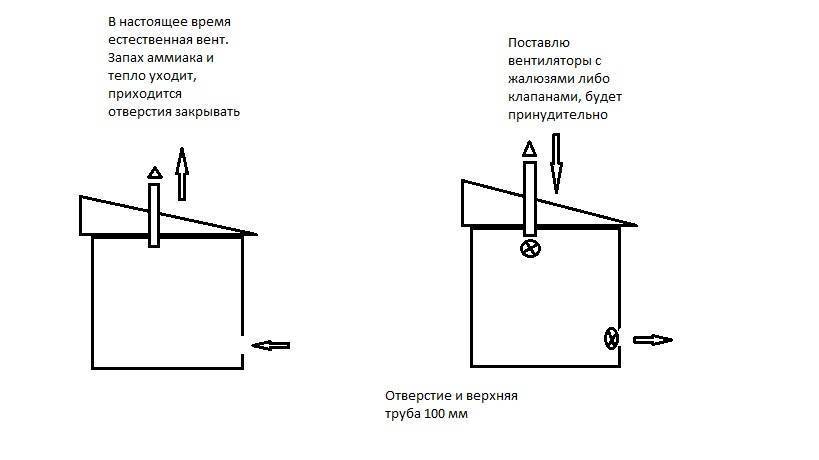 Вентиляция в курятнике своими руками: как сделать, схемы, расчет мощности + фото и видео