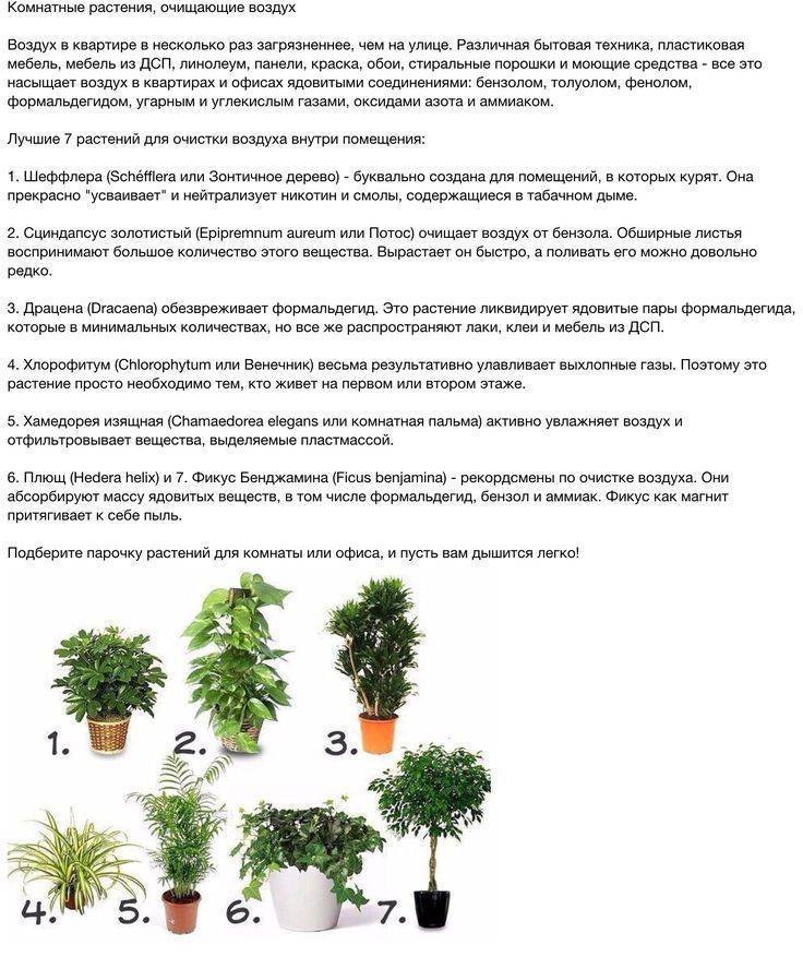 Как очистить квартиру от плохой энергетики: эффективный метод