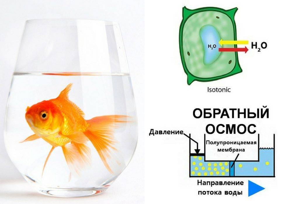 Фильтр обратного осмоса: как выбрать + рейтинг моделей 2019 года