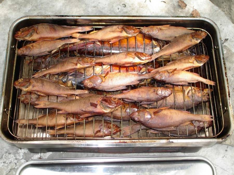 Лучшие коптильни для горячего копчения