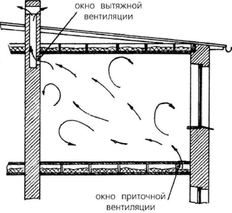 Вентиляция курятника летом и зимой