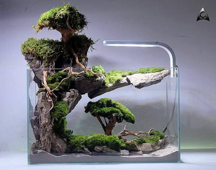 Декорации для аквариума своими руками декорации для аквариума своими руками